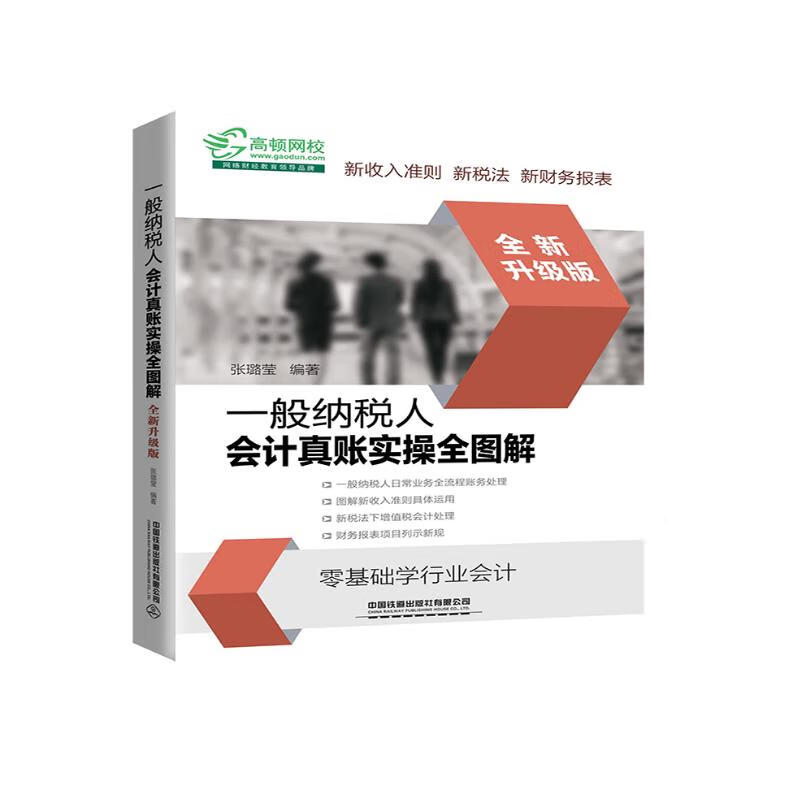 一般纳税人会计真账实操全图解（全新升级版）