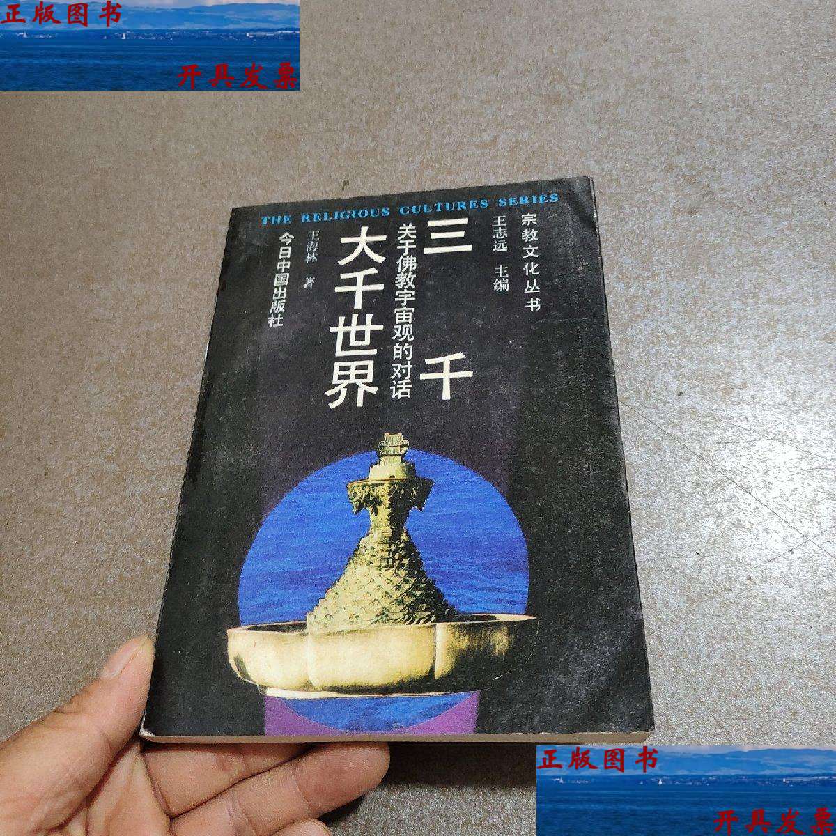 【二手9成新】三千大千世界 /王志远 今日中国