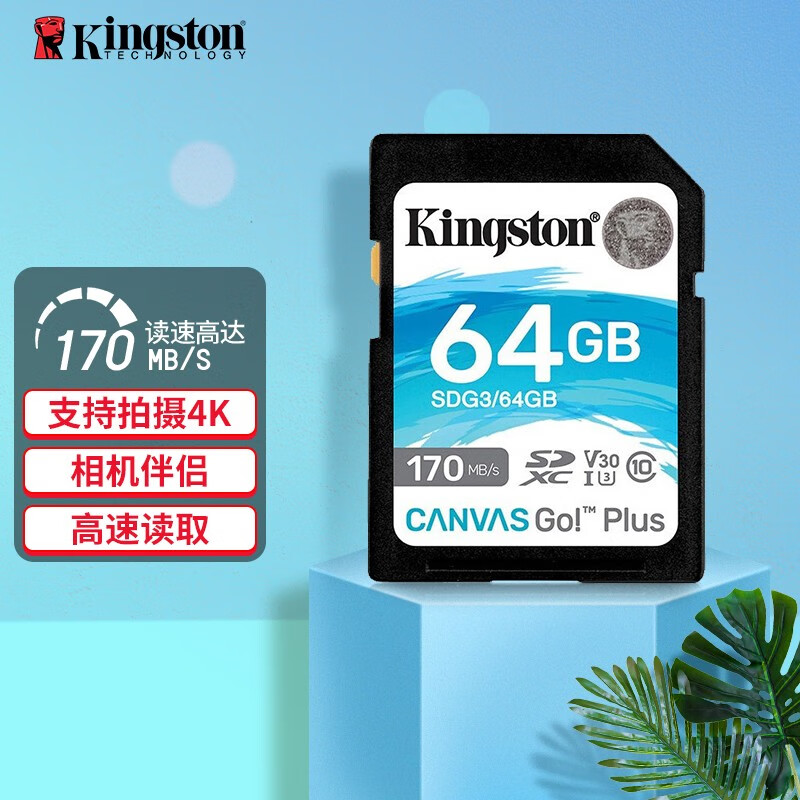 金士顿（Kingston）SD存储卡 高速相机内存卡单反微单sd卡 class10 U3 V30 SDG3/64G【读速170M/S 丨4K超清】