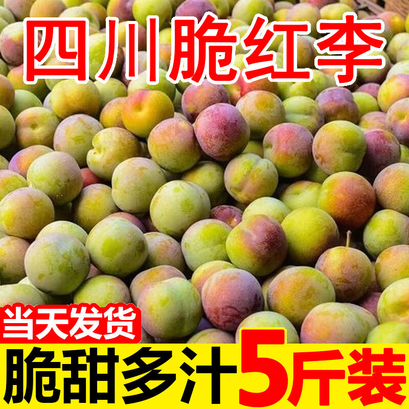 四川脆红李脱骨李子5斤半边红空心高山土李新鲜水果青脆重庆巫山中秋
