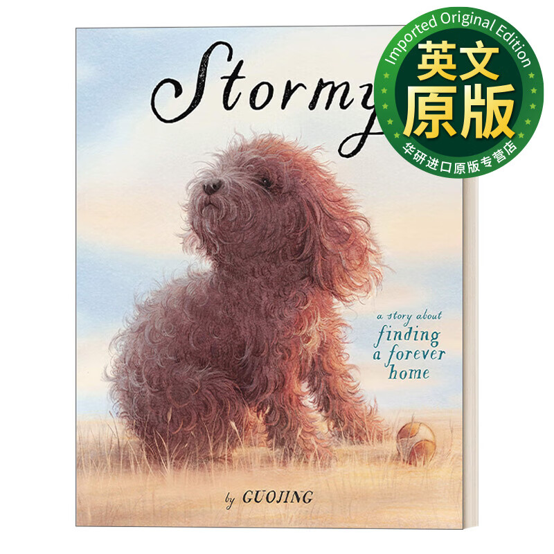 stormy 英文原版绘本 暴风雨 寻找一个永远的家 3-7岁儿童友谊漫画