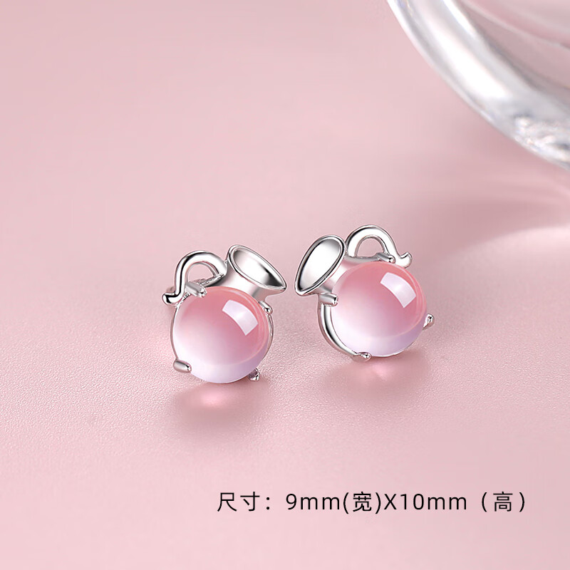 耳钉新款女生甜美可爱耳饰养耳洞防过敏水晶耳环 水瓶座·银色耳钉