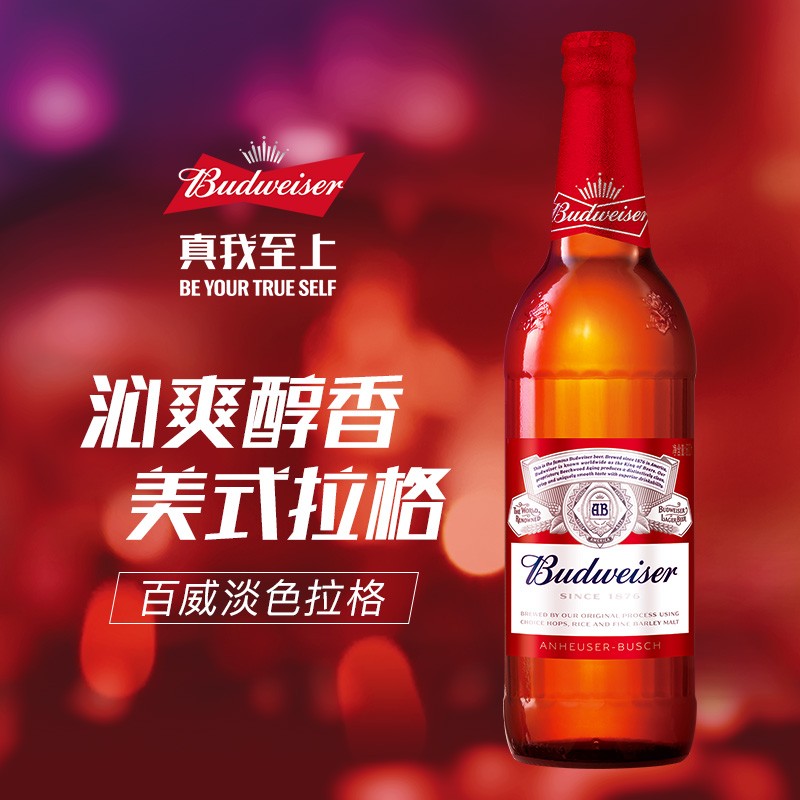 百威 浓郁麦香 啤酒商品图片-5