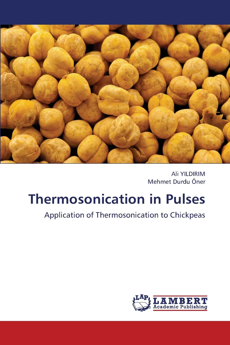 【预售 按需印刷】thermosonication in pulses