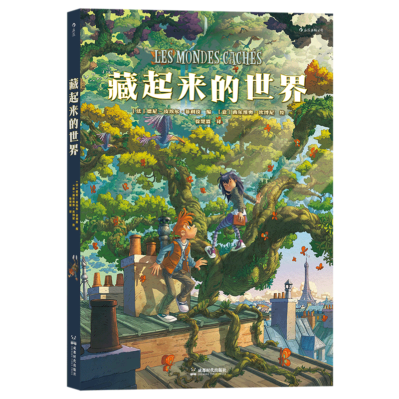 正版现货 藏起来的世界 11-14岁 少年魔法师奇境大冒险 奇幻文学故事