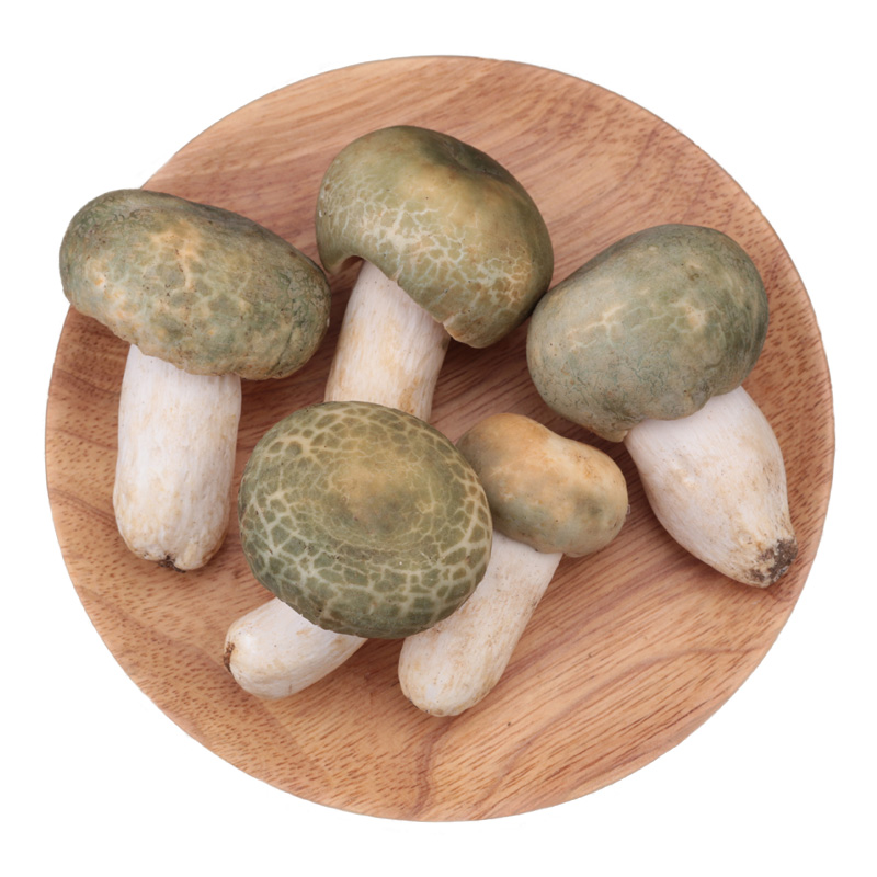 宜享健康现货2020青头菌新鲜菌食用菌蘑菇云南特产鲜菌菇当天采摘