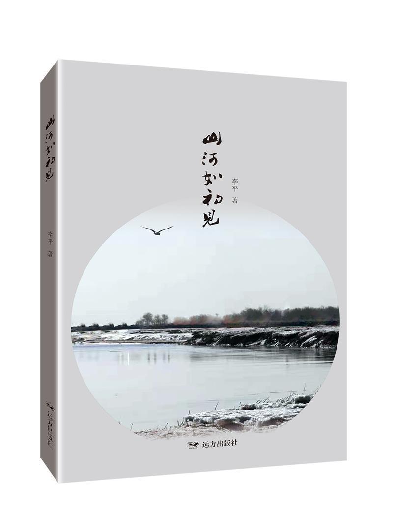 山河如初见小说  图书