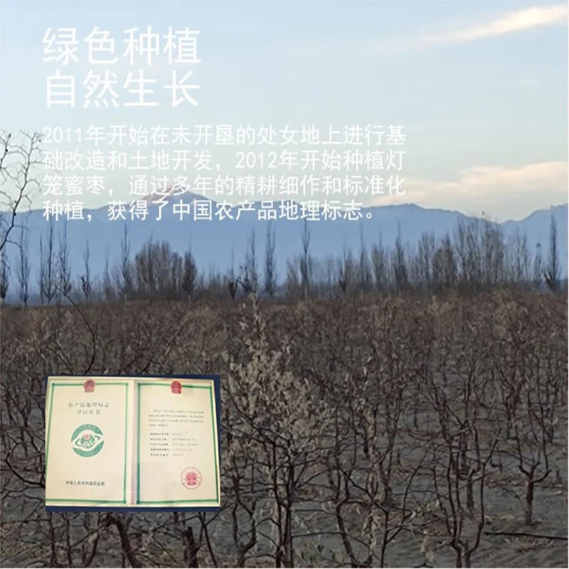 亚通古孜新疆和田大枣特级灯笼蜜枣 年货团购送长辈 孕妇免洗沙漠红枣礼盒 灯笼蜜枣一级果260g*2袋