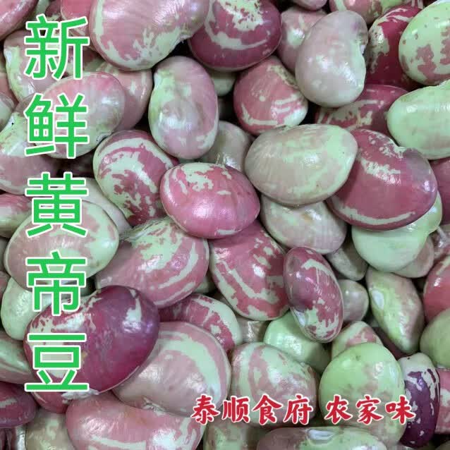 隽颜堂新鲜皇帝豆籽农家种植250g去壳荷包豆大肾豆花芸豆扁豆泰顺特产