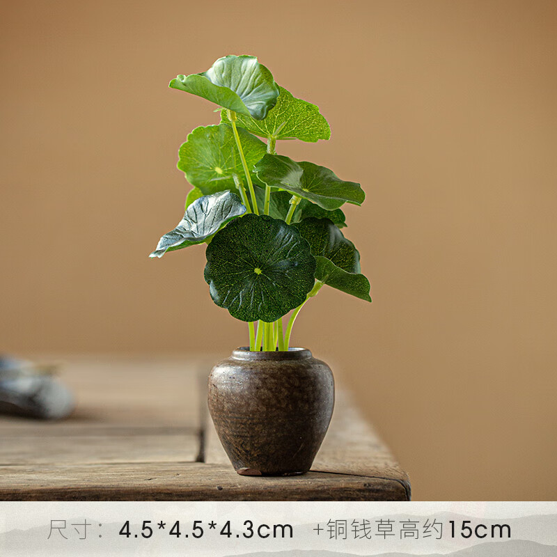 花烛创意复古迷你茶宠小花器功夫茶道小 复古小缸花器 仿真铜钱草 真