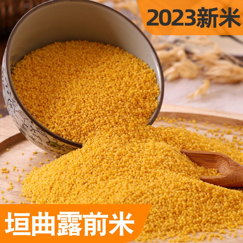 禾澹垣曲歷山黃小米2023新米5斤山西特產(chǎn)特產(chǎn)五谷雜糧糯食用 2500