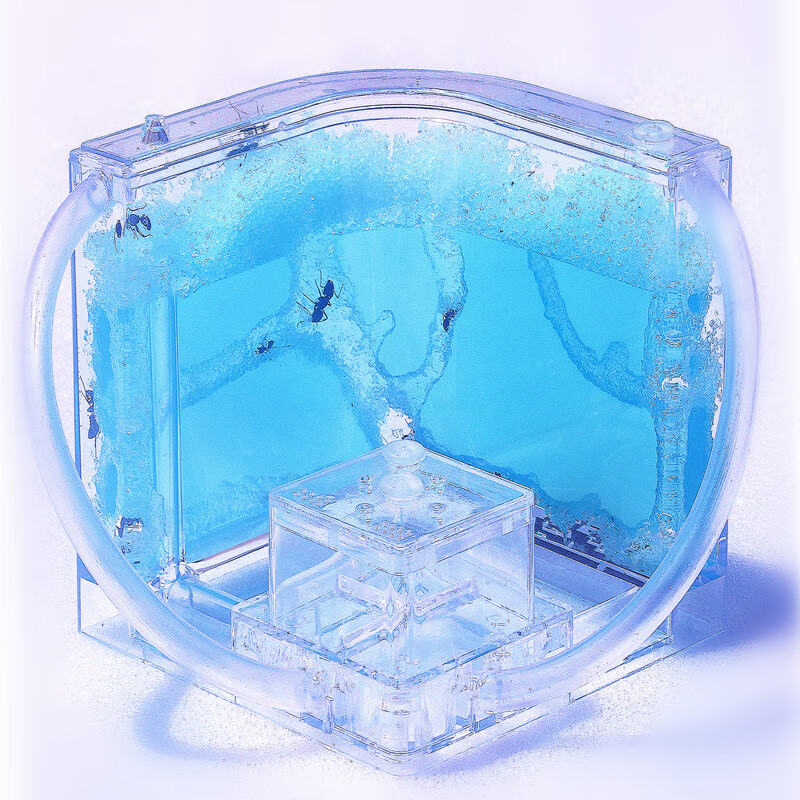 大小宠物玩具蚂蚁工坊生态巢超大城堡庄园屋别墅家园观察蚁后 天蓝色