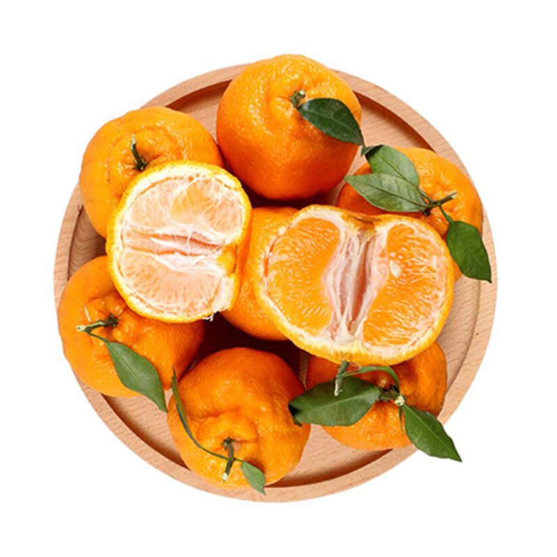 泰汇吃 【JD快递】四川春见耙耙柑 新鲜现摘橘子 应季时令水果柑橘 净4.5斤【70-75MM】2件合发8.5斤