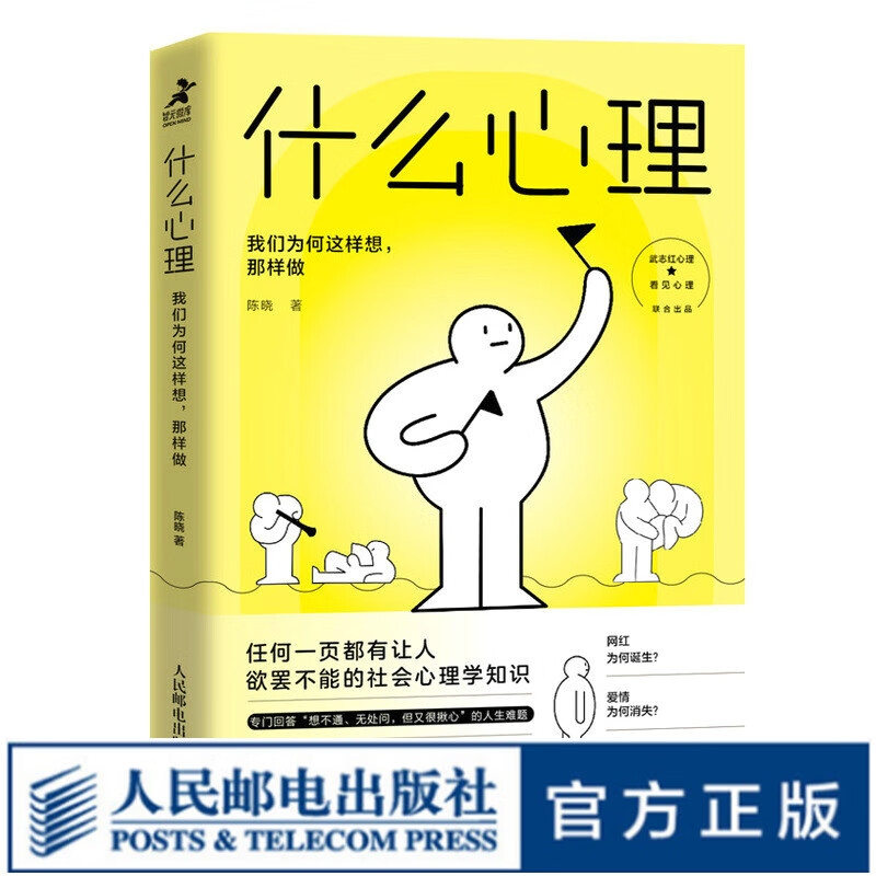 什么心理：我们为何这样想，那样做 心理学书籍武志红心理联合出品社会心理学与生活大众心理学家