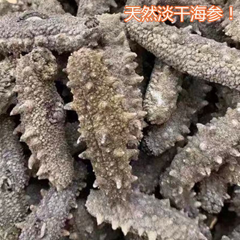 禾澹自晒野生海参海参干货 深海刺参煲汤煲粥海产干货 50g