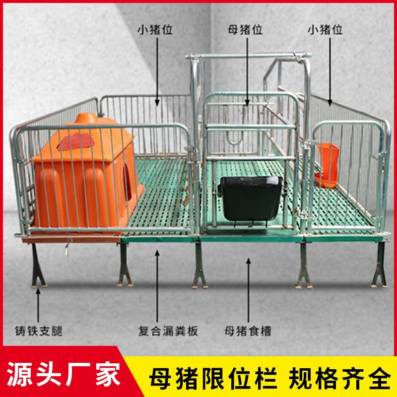 山头林村新款母猪产床双体复合板产床产保两用母猪定位栏保育床猪场