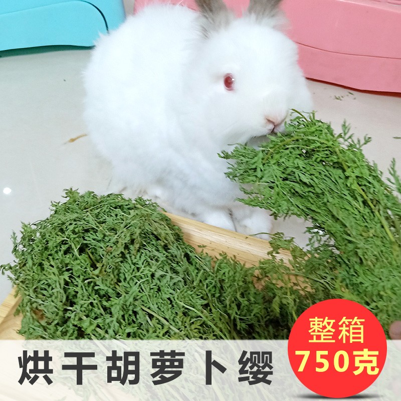 老司机剖析咪贝萌兔粮牧草真实体验反馈？了解两个月真相分享