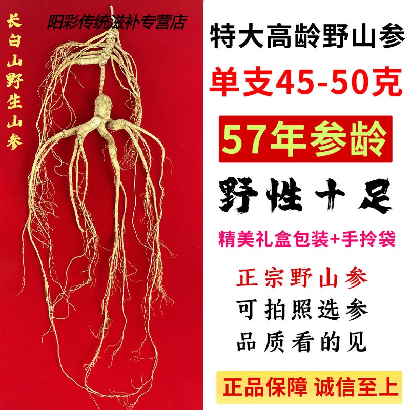 年特大人参干参林下参泡酒煲汤礼盒装 57年特等野山参(单支40克左右)