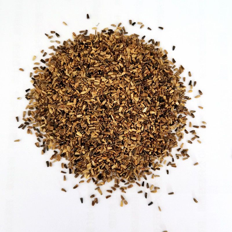 谷真大叶菊苣种子四季牧草将军菊苣草种籽多年生养殖猪牛羊鸡鸭鹅草种