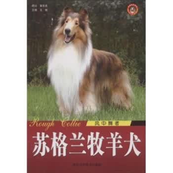 风中舞者 苏格兰牧羊犬【正版图书】