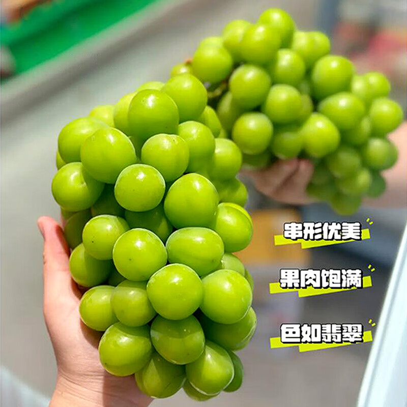 菲农阳光玫瑰葡萄1.5kg 精选商超AA品质 晴王葡萄青提 新鲜水果礼盒怎么样,好用不?