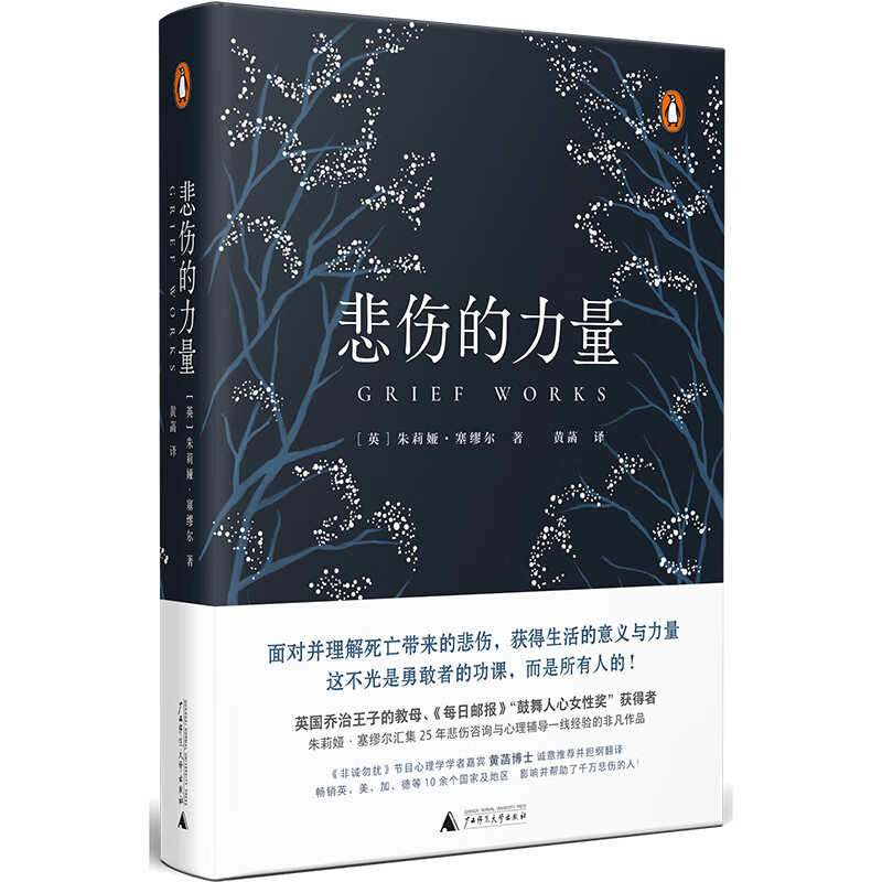 新民说·悲伤的力量(非诚勿扰嘉宾黄菡翻译,孟非老师力荐!