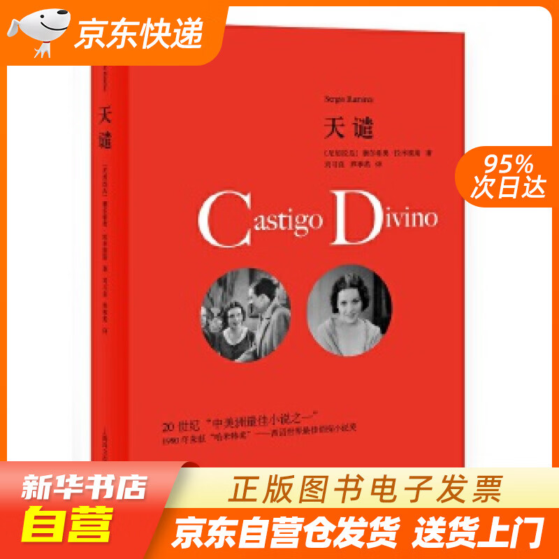 【全新正版图书】天谴