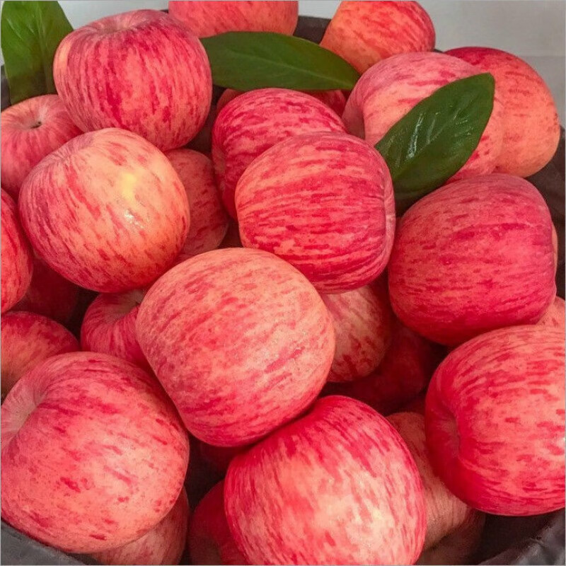冰糖心丑苹果水果陕西新鲜当季脆甜红富士3-10斤批发 3斤鲜果60-80mm