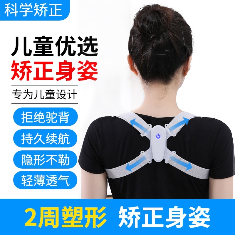 如何选择矫姿带？价格历史与销量趋势分析