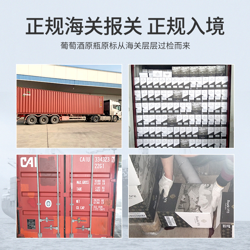 布可丽8号南非原瓶进口红酒14度西拉干红葡萄酒礼袋装商务宴请酒世界 西拉皮诺塔单支