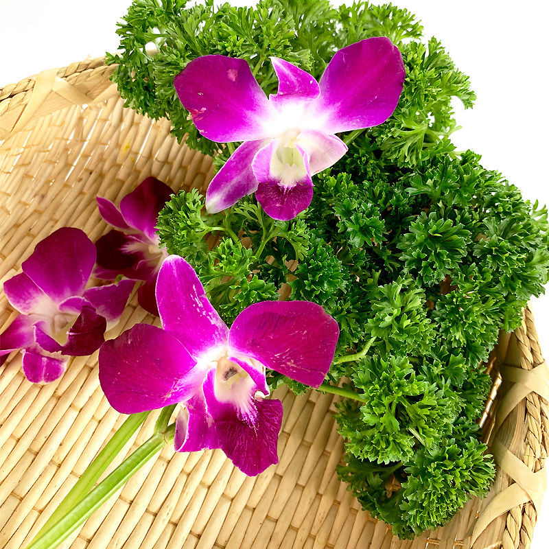 晨臻 新鲜杨兰花荷兰芹组合 香芹菜洋兰花火锅酒店西餐摆盘装饰花草