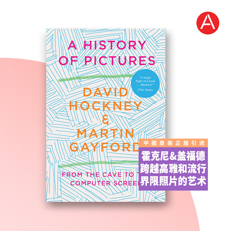 中图原版进口 history of pictures 艺术史 图画史