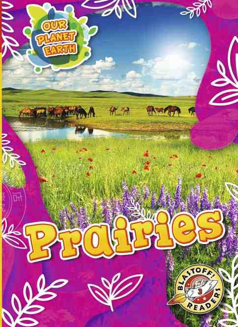 【2周达】预售 按需印刷prairies