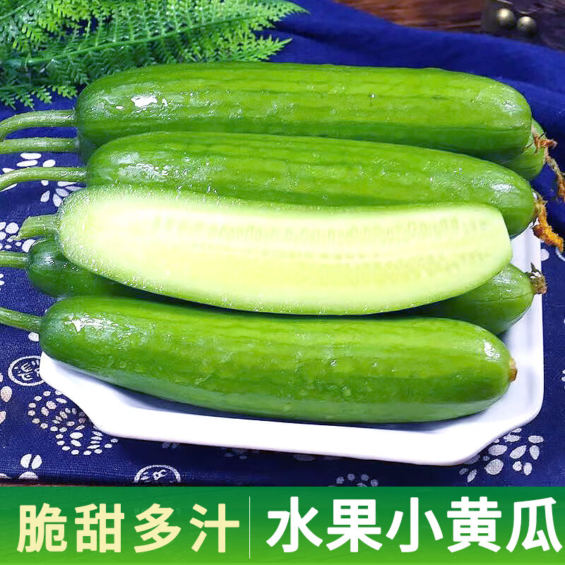 果优萱山东潍坊新鲜现摘小黄瓜 4.5斤 【小黄瓜】