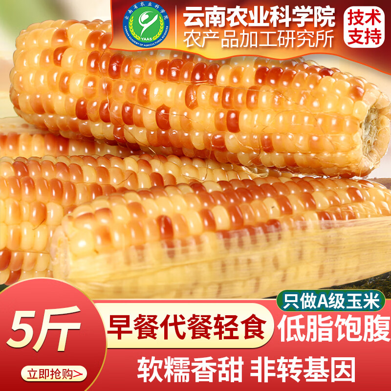 滇购【农科院研制】西双版纳香糯小玉米 糯玉米即食早餐代餐轻食粗粮 5斤【掌柜力荐】约20支使用感如何?