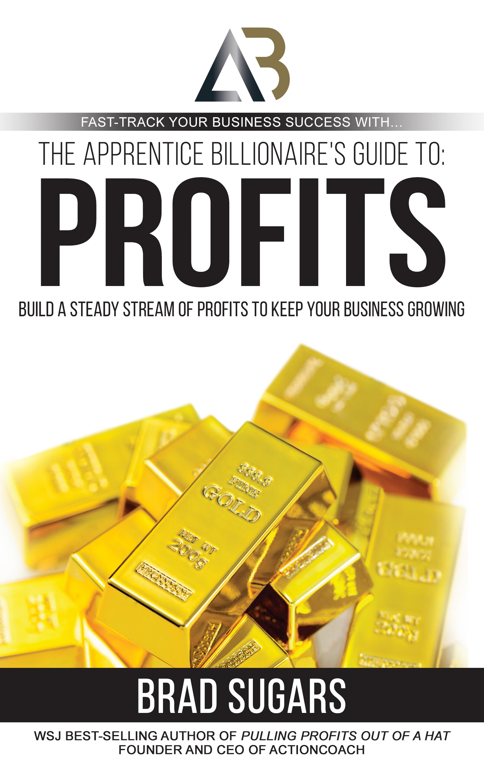 the apprentice billionaires guide to profits: build a steady
