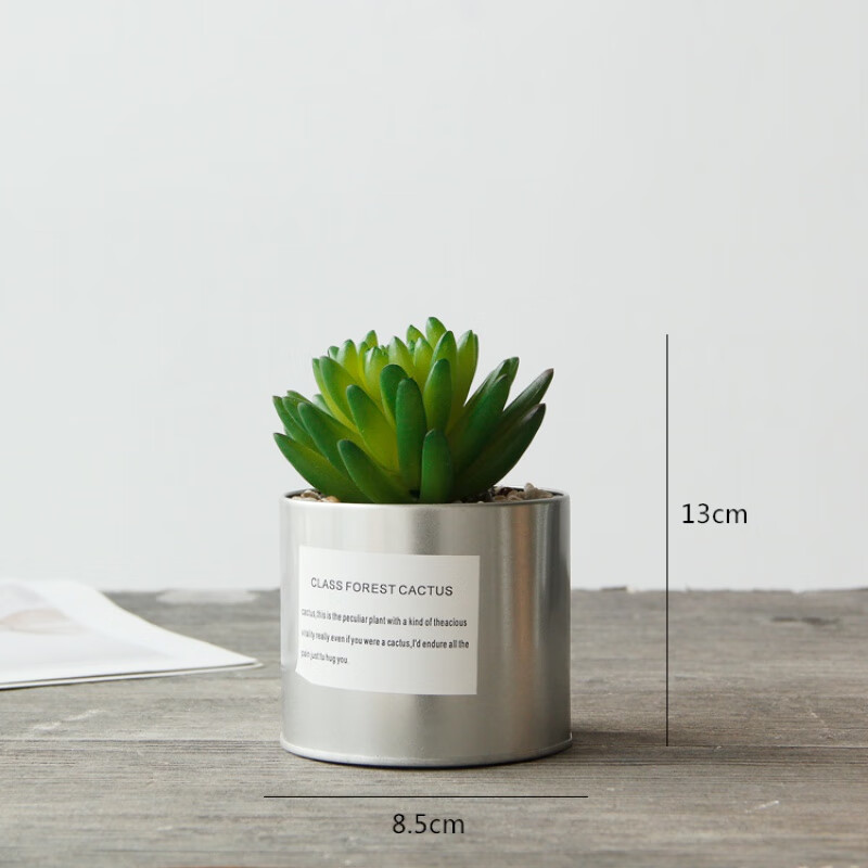 绿色仿真多肉植物盆栽桌面假花客厅摆设办公室小盆景 佛手指(银盆)