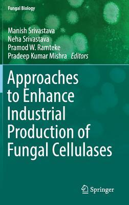 预订 高被引Approaches to Enhance Industrial Production