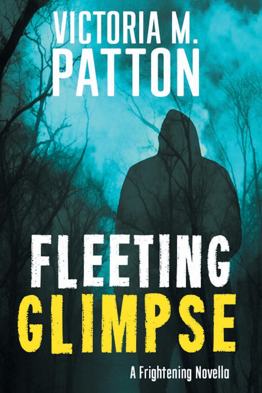 预售 按需印刷 fleeting glimpse