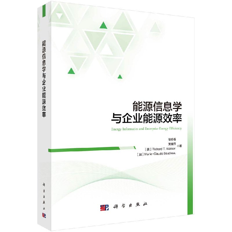 能源信息学与企业能源效率科学出版社