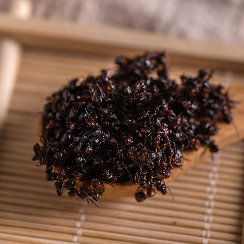 长白山拟黑多刺蚁泡酒料大黑蚂蚁干黑蚂蚁粉大山蚁100克 黑蚂蚁500克