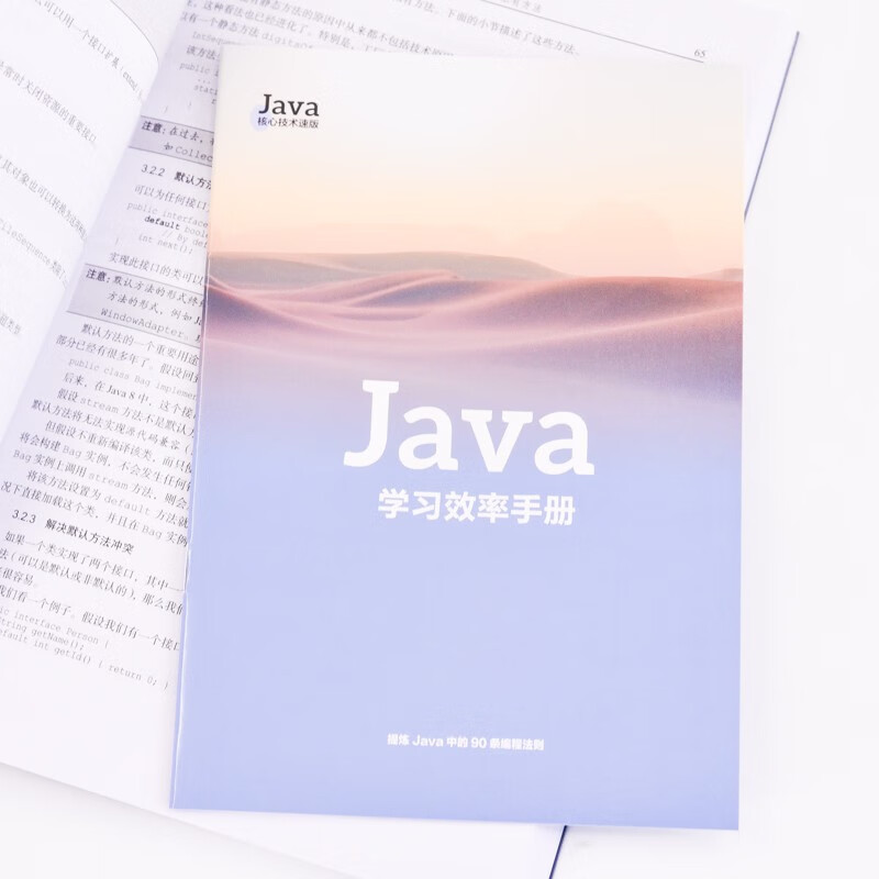 Java核心技术速学版（第3版）