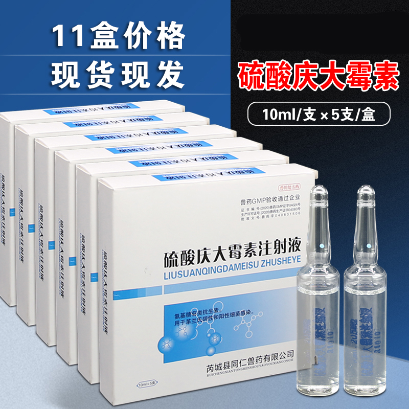 兽用猪牛羊犬庆大霉素注射液用液硫酸庆大毒素针剂兽药兽用