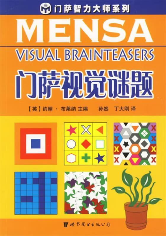 门萨视觉迷题【正版图书，放心购买】
