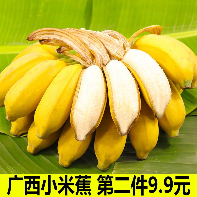 果迎鲜广西小米蕉 新鲜水果 香蕉 净果4.5斤 芭蕉 小香蕉