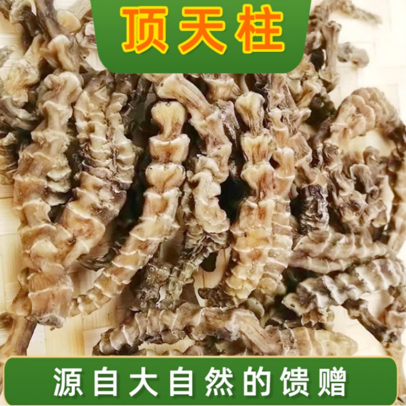丁天柱回春草伟博野生续阳草500g新货中药材回春草顶天柱不老草男士