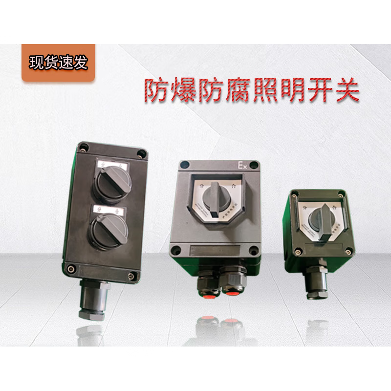 主令控制器工程塑料急停控制电源按钮接线盒 防爆防腐照明开关单联10a