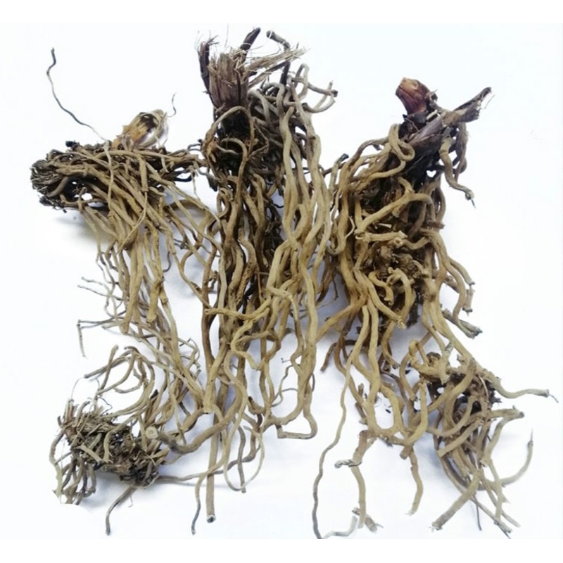 【优选】伟博 【官方旗舰】贵州新百尾笋中药材石竹根 竹林梢 万花梢