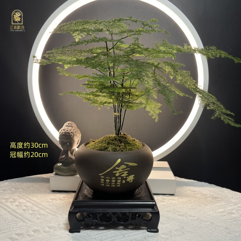京东新品首发 2023-04-14 - 第18张  | 最新购物优惠券