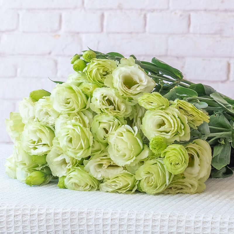 基地直发真花家庭插瓶水养装饰客厅卧室花束配花 绿色洋桔梗(20-30朵)